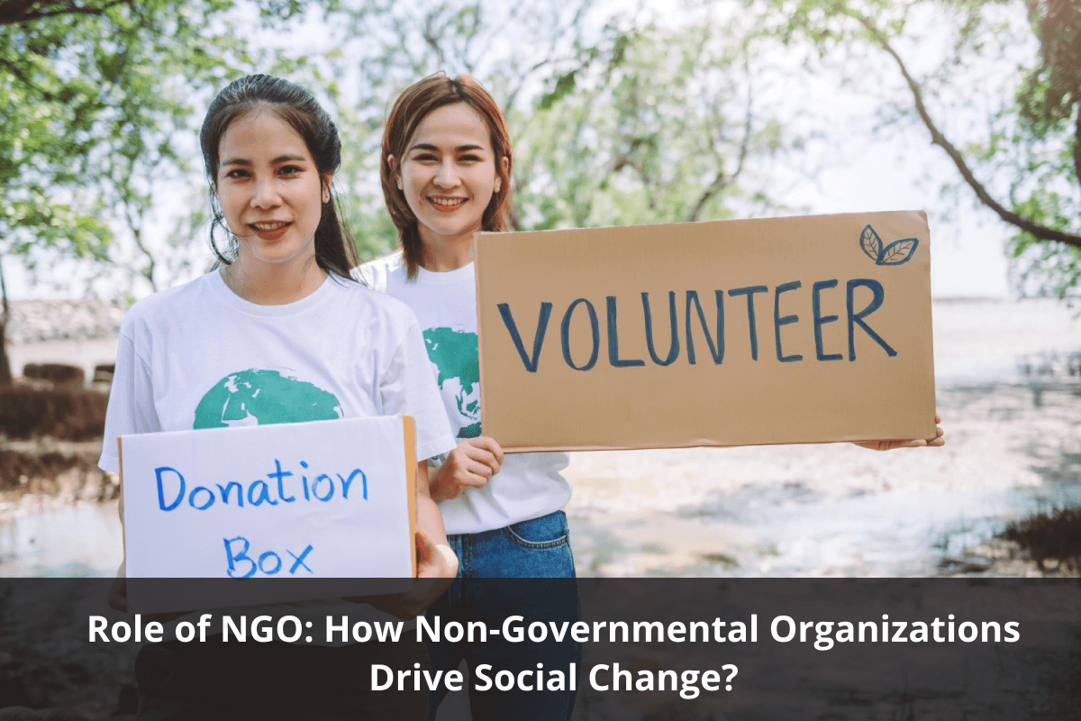Role of NGOs
