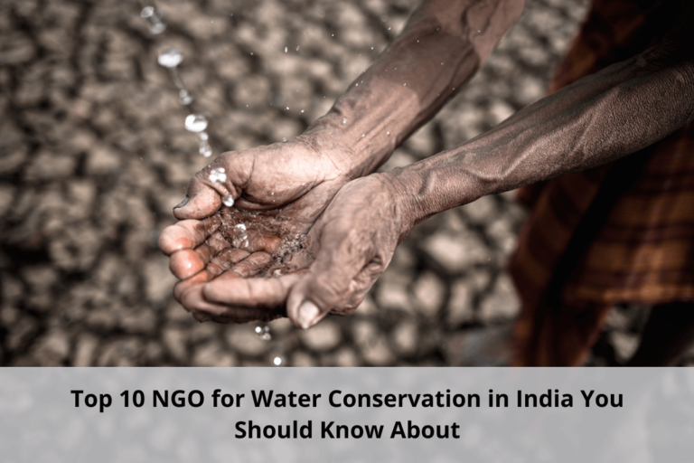 Top 10 NGO for Water Conservation in India | Social for Action