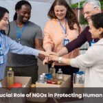 The Crucial Role of NGOs in Protecting Human Rights